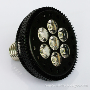 LED Bulbs 01